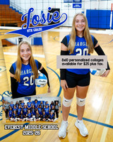 Volleyball